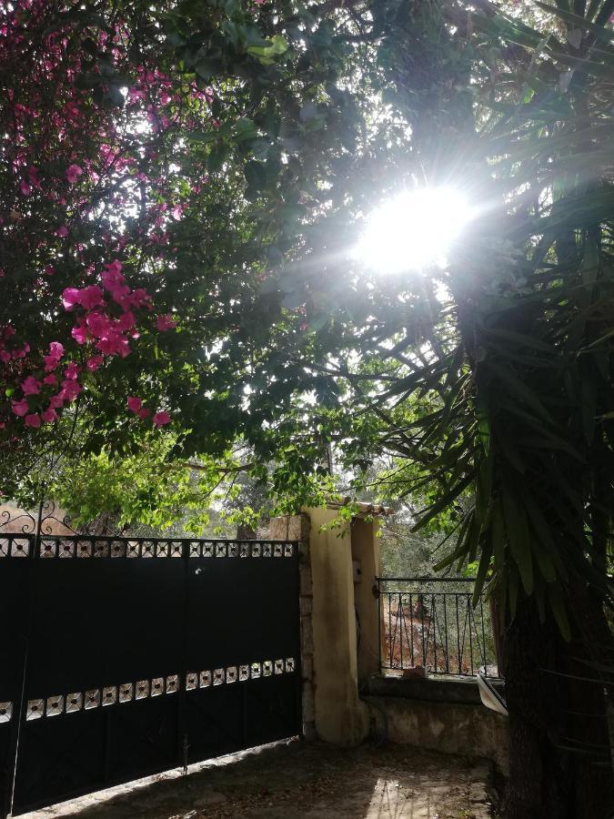 Olea Home Agia Pelagia Chlomou Екстер'єр фото
