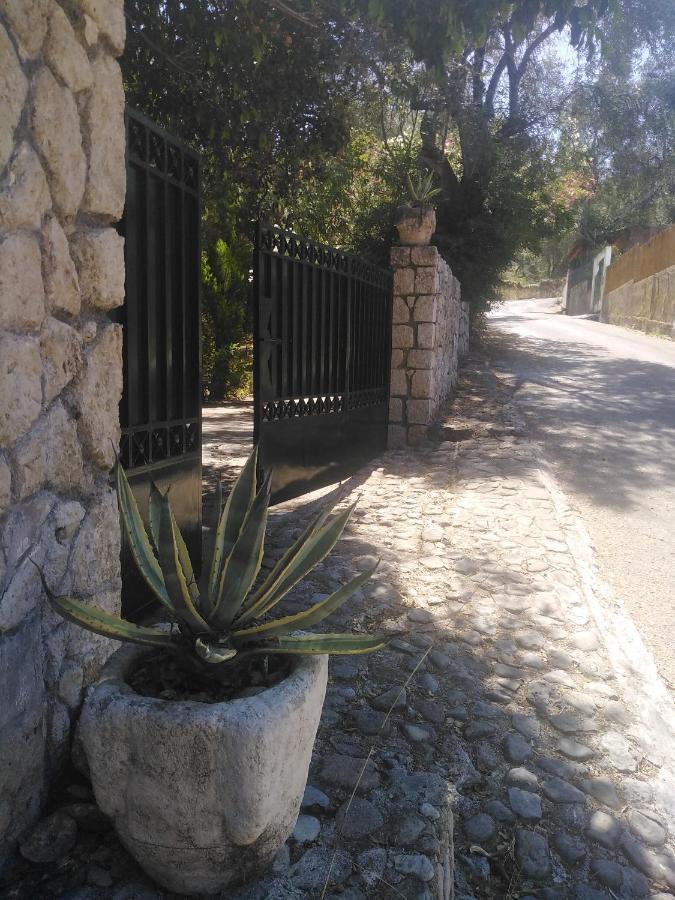 Olea Home Agia Pelagia Chlomou Екстер'єр фото