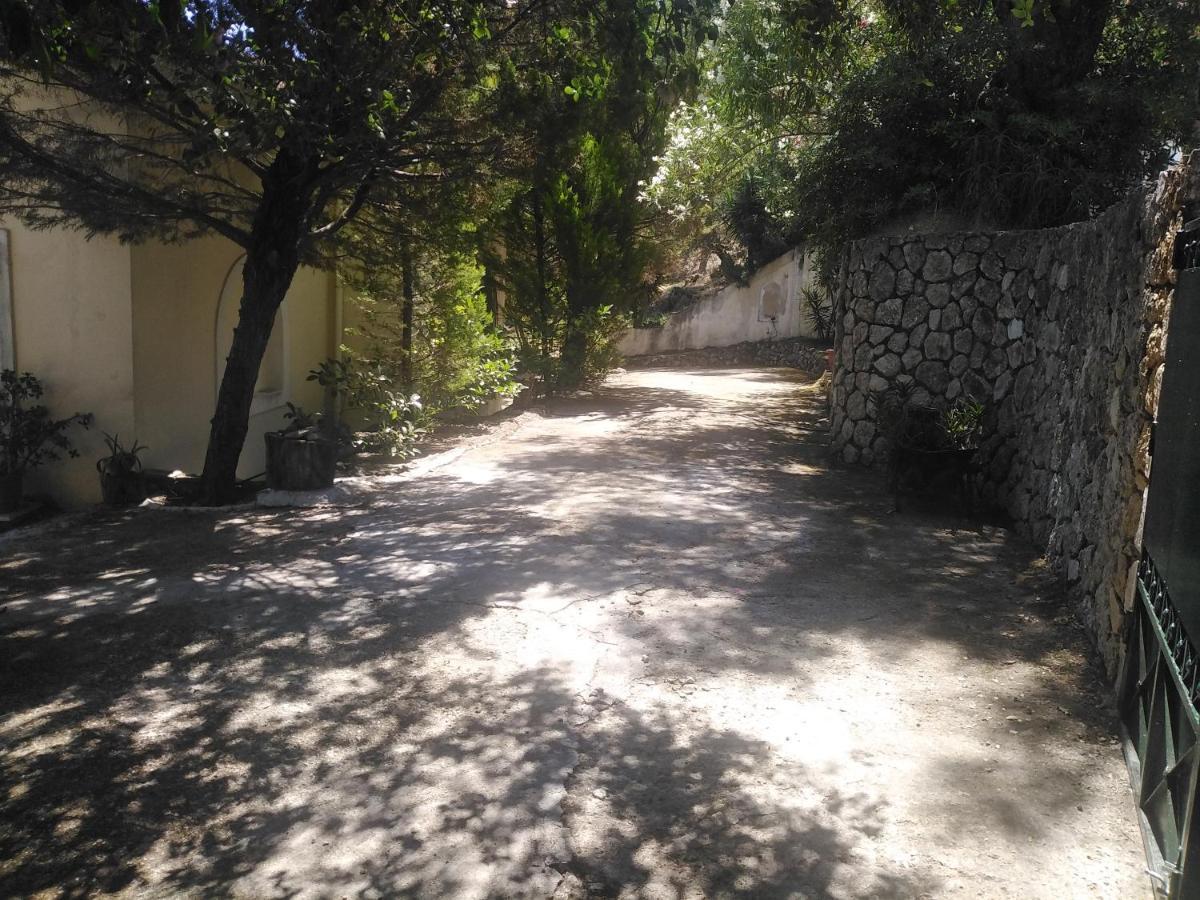 Olea Home Agia Pelagia Chlomou Екстер'єр фото